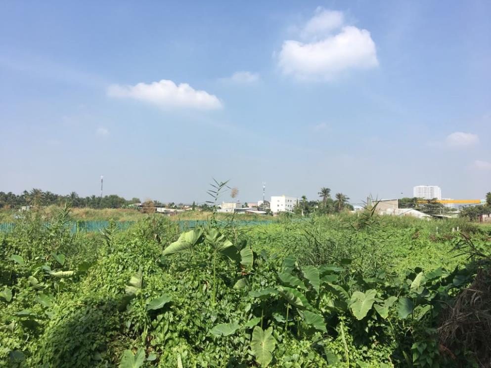 Lô đất thổ cư 465m2 mặt tiền đường Vành Đai 2 ở Tam Phú, Thủ Đức. Trong hình, đường Vành Đai 2 đang được rào và đang thi công.