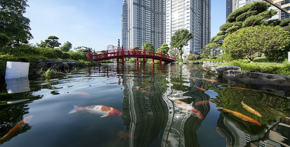 Hình ảnh thực tế Hồ cá Koi tại Vinhomes Central Park.