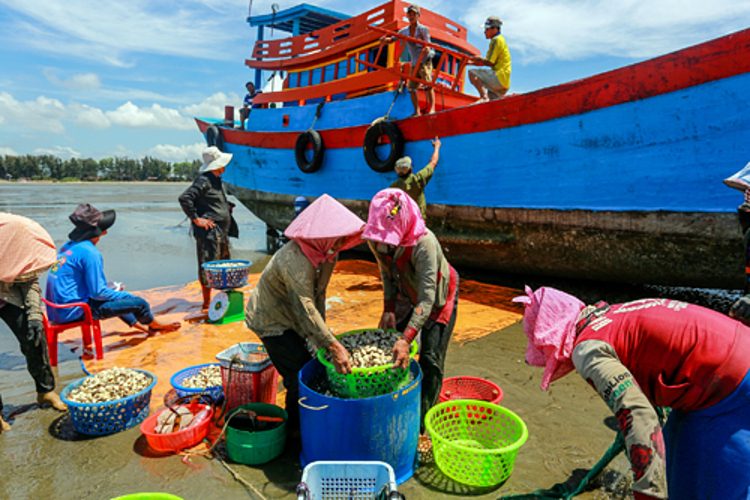 Ngư dân Cần Giờ sống chủ yếu với nghề đánh bắt hải sản.