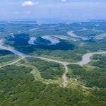 Rừng Sác khu dự trữ sinh quyển thế giới ở Cần Giờ được UNESCO công nhận.