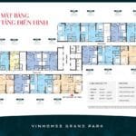 Mặt bằng căn hộ điền hình The Beverly Vinhomes Grand Park