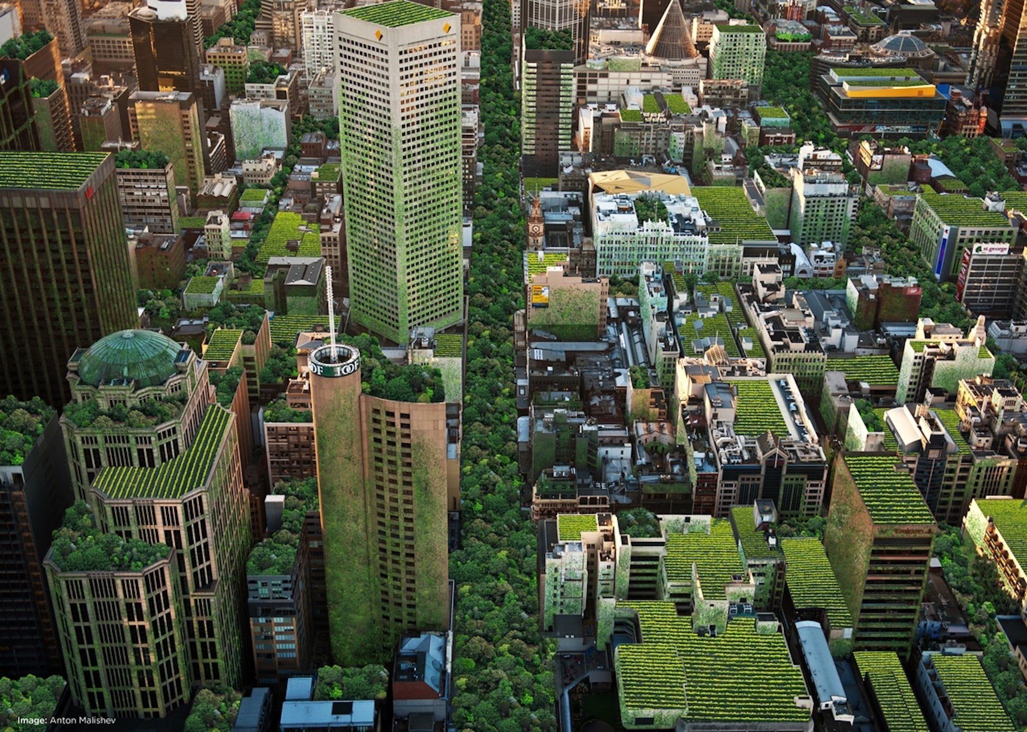 Basel ở Thuỵ Sĩ thành phố đầu tiên trên thế giới đưa không gian xanh trở thành một yêu cầu pháp lý đối với các toà nhà mới xây dựng.