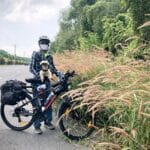 Cỏ lau đang nở rực rỡ trên đường đi Cần Giờ.